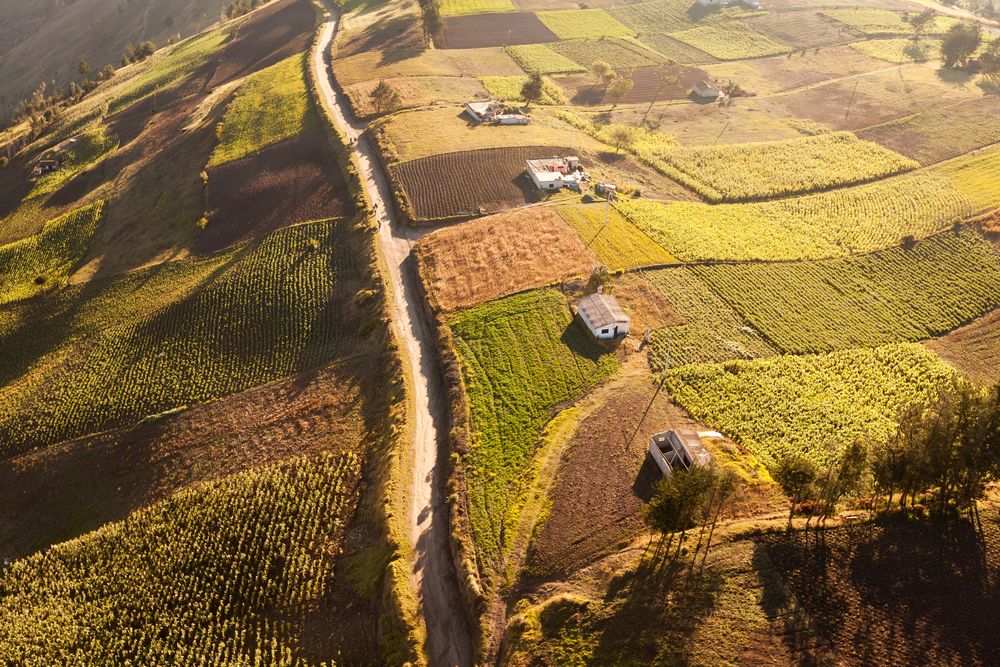 Agricultural Property Law