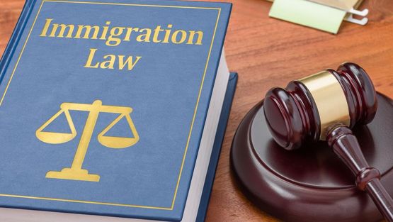 Immigration Law